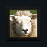 SHEEP GIFT BOX<br><div class="desc">A photographic design of a cute sheep.</div>
