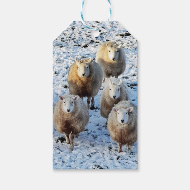 Sheep Gift Tags (Front)
