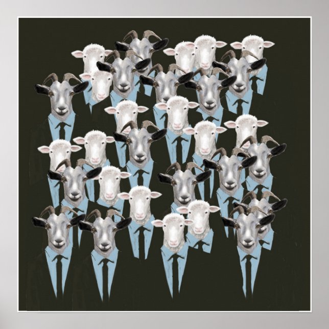 Sheep & Goats Poster (Front)