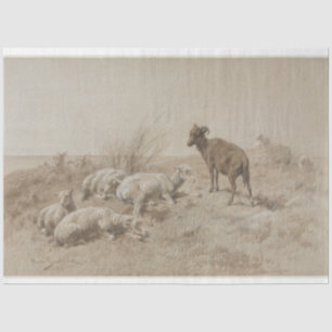 Sheep Graphite Artwork Decoupage Paper