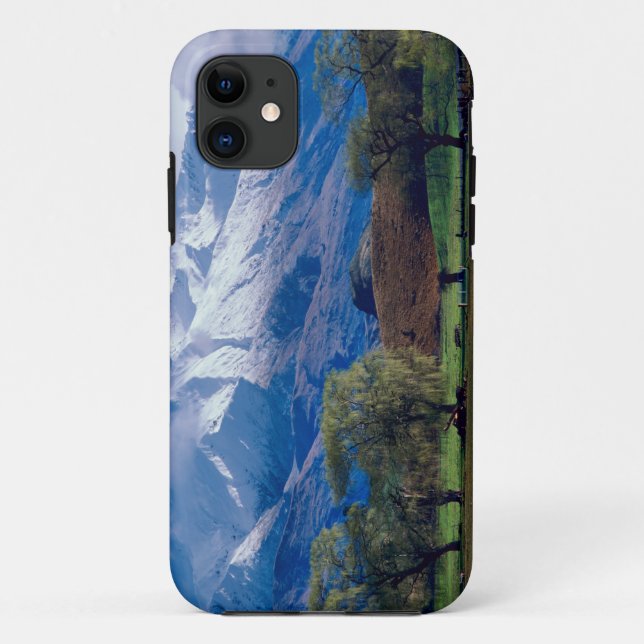 Sheep grazing below the snow-capped Harris Case-Mate iPhone Case (Back)