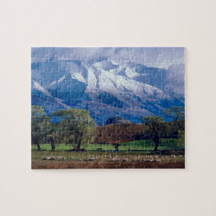 Sheep grazing below the snow-capped Harris Jigsaw Puzzle