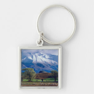 Sheep grazing below the snow-capped Harris Key Ring