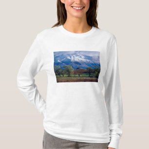 Sheep grazing below the snow-capped Harris T-Shirt