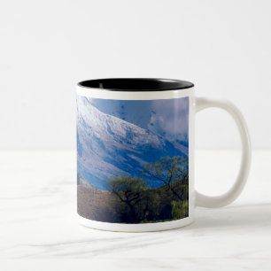 Sheep grazing below the snow-capped Harris Two-Tone Coffee Mug