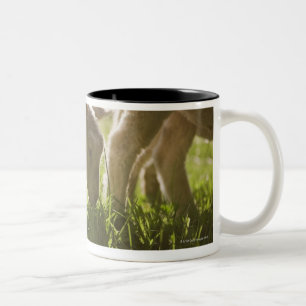 Sheep Grazing in Grass Two-Tone Coffee Mug