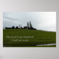 Sheep Grazing in Green Pasture Near Pond
