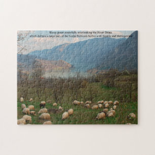 Sheep Grazing on the Bosnia Border Jigsaw Puzzle