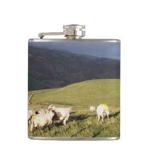 SHEEP HIP FLASK