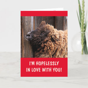 Sheep Hopelessly In Love Valentine's Day Card