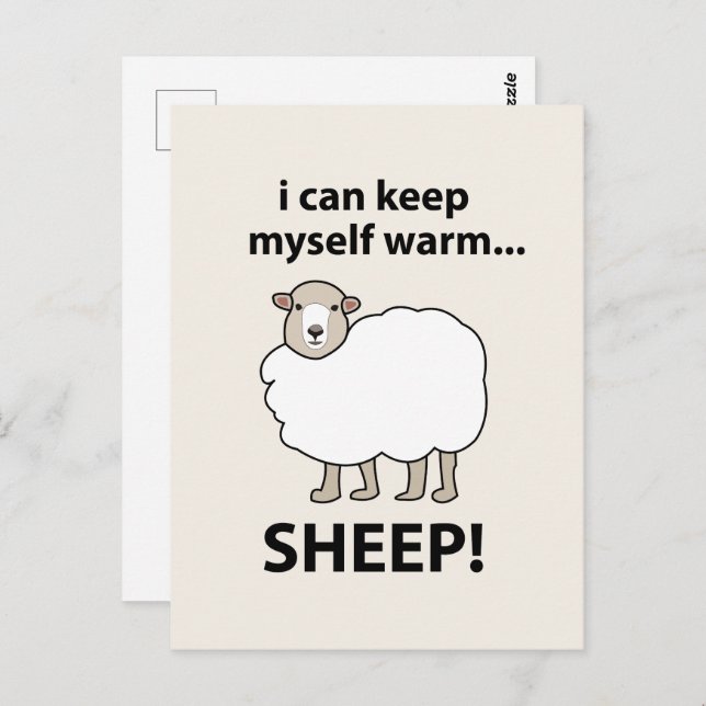 Sheep I Can Keep Myself Warm Sheep Postcard (Front/Back)