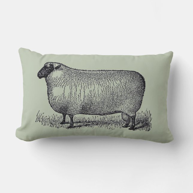 Sheep Illustration Farmhouse Style Home Decor Lumbar Cushion (Front)