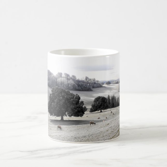 Sheep in a frosty field coffee mug (Center)