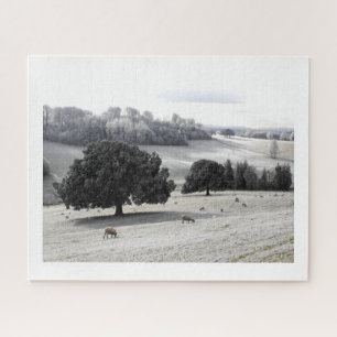 Sheep in a frosty field jigsaw puzzle