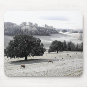 Sheep in a frosty field mouse pad