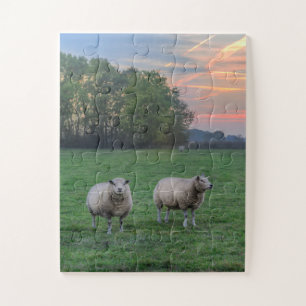 Sheep in Field with Sunset Jigsaw Puzzle