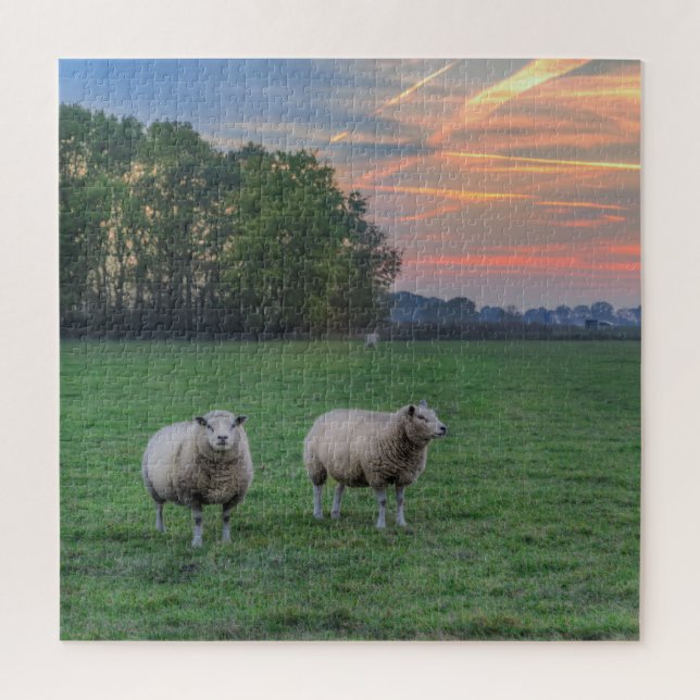 Sheep in Field with Sunset Jigsaw Puzzle (Vertical)