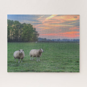 Sheep in Field with Sunset Jigsaw Puzzle