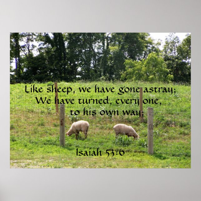 Sheep in Pasture with Scripture Print (Front)
