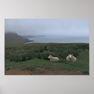 Sheep in the Fog Poster