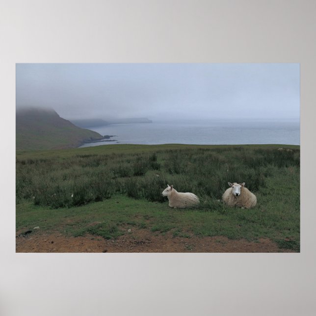 Sheep in the Fog Poster (Front)