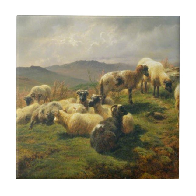Sheep in the Highlands by Rosa Bonheur Tile (Front)