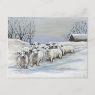 Sheep in the Snow Art Postcard