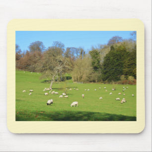 Sheep in the winter sunshine mouse pad