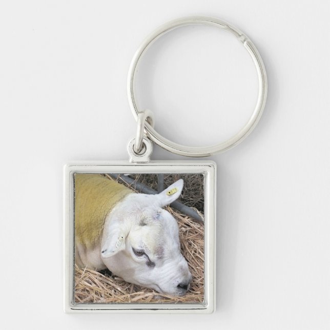 SHEEP KEY RING (Front)