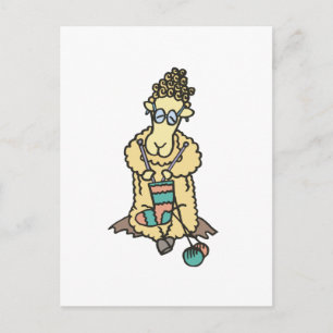 Sheep Knitting Postcard