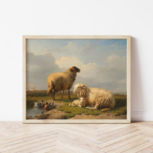 Sheep Lamb and Ducks Eugène Joseph Verboeckhoven Poster