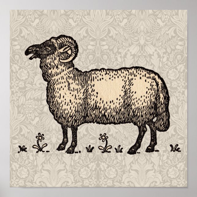 Sheep Lamb Farm Animal Vintage Poster (Front)