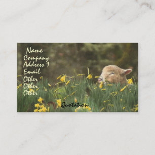 Sheep Lamb Ram Farm Animals Ranch Business Card
