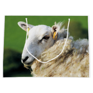 SHEEP LARGE GIFT BAG