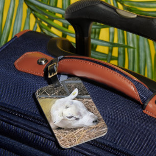SHEEP LUGGAGE TAG