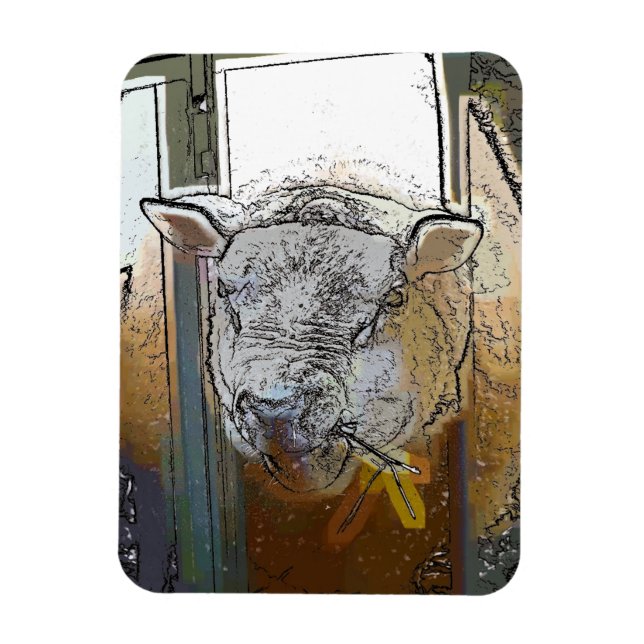 SHEEP MAGNET (Vertical)