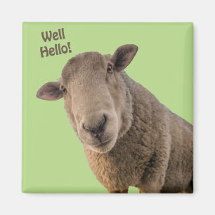 Sheep Magnet