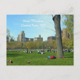 Sheep Meadow, Central Park, NYC Postcard