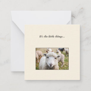 Sheep Mini Thank You Note Card