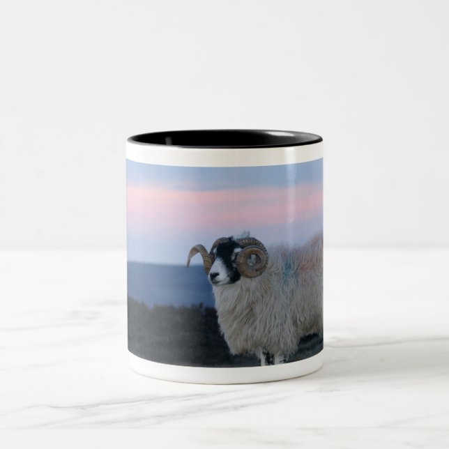 Sheep Mug (Center)