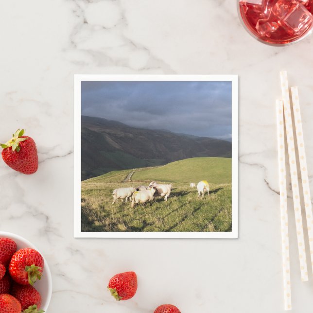 SHEEP NAPKIN (Insitu)