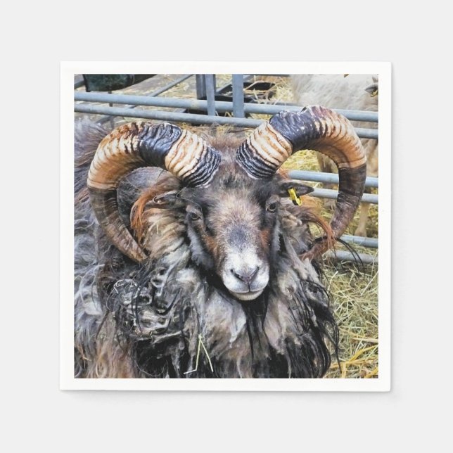 SHEEP NAPKIN (Front)