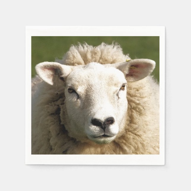 SHEEP NAPKIN (Front)