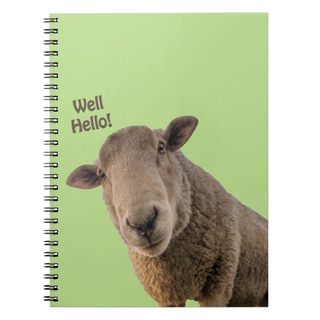 Sheep Notebook (Front)