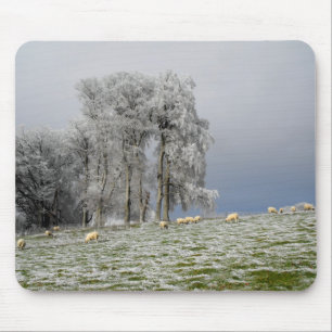Sheep on a frosty hill mouse pad