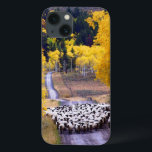 Sheep on Country Road iPhone 13 Case<br><div class="desc">A flock of sheep come down an aspen-lined country road near Columbine, Colorado. The aspens are a blaze with fall colour. Photo submitted by a Country reader. Country magazine celebrates the breathtaking beauty, engaging people, enduring values and spiritually rewarding lifestyle of the American countryside. Our enthusiastic readers contribute nearly three-fourths...</div>