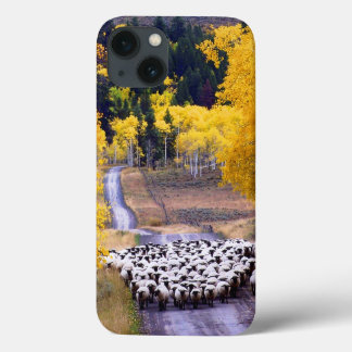 Sheep on Country Road iPhone 13 Case