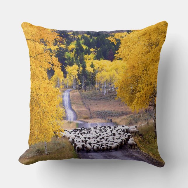 Sheep on Country Road Cushion (Front)