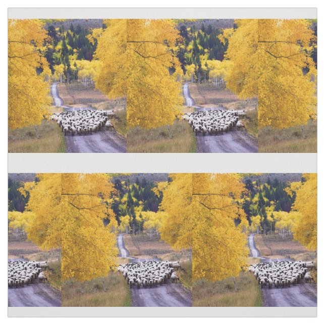Sheep on Country Road Fabric (Swatch)