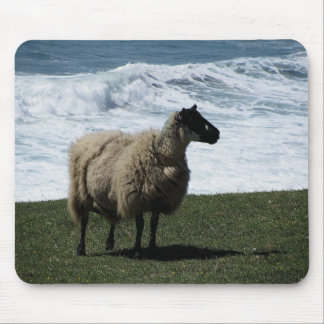 Sheep on wild south Devon coastline Mouse Pad